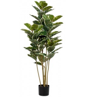 Planta artificial ficus robusta maceta, realista y sin mantenimiento 1