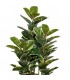 Planta artificial ficus robusta maceta, realista y sin mantenimiento4