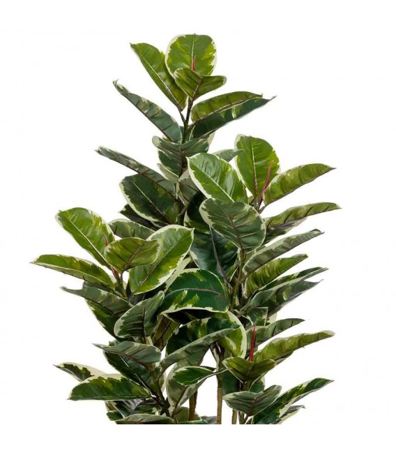 Planta artificial ficus robusta maceta, realista y sin mantenimiento4
