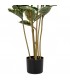 Planta artificial ficus robusta maceta, realista y sin mantenimiento5