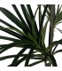 Planta artificial Drácena alta verde con macetero negro decorativo. 2