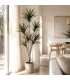 Planta artificial Drácena alta verde con macetero negro decorativo. Mdmhogar