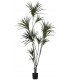 Planta artificial Drácena alta verde con macetero negro decorativo.