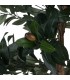 Planta artificial olivo verde estilo mediterráneo decorativo 5
