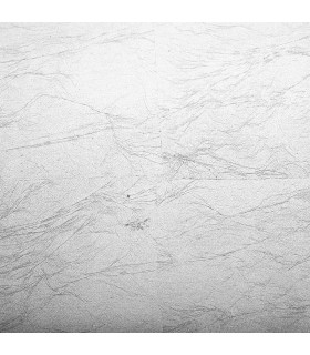 Mesilla Silver Cagliari