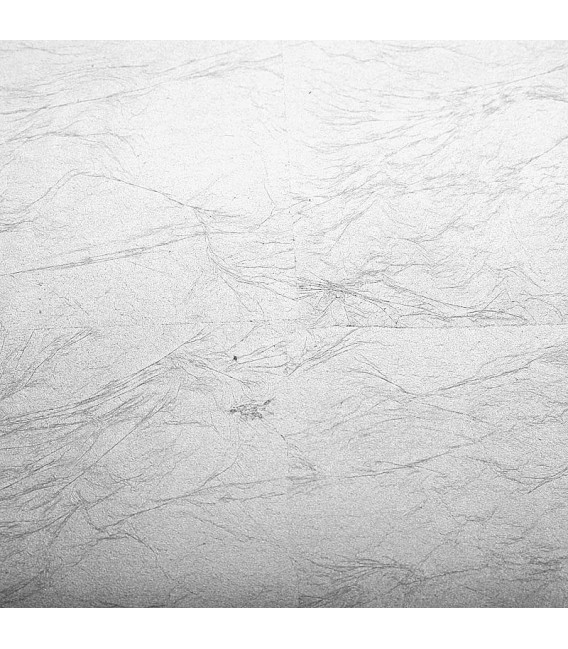 Mesilla Silver Cagliari