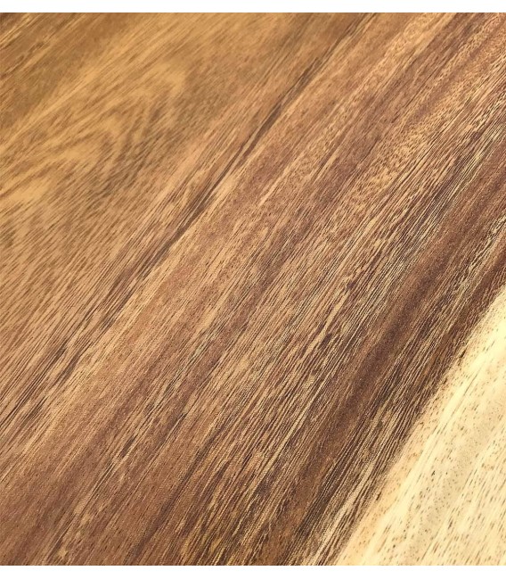 MESA DE CENTRO TRONCO NATURAL