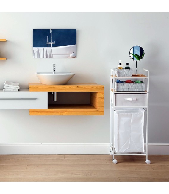 CARRO COMBINADO BAÑO REIKI