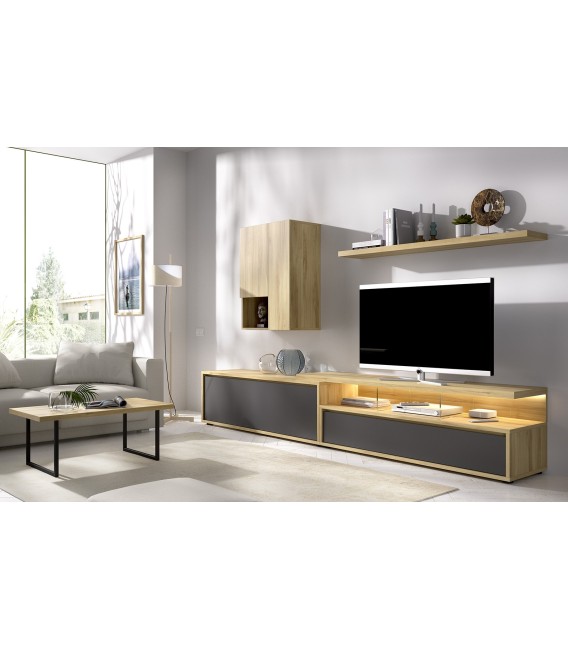 COMPOSICIÓN MUEBLE SALÓN PORO 5 