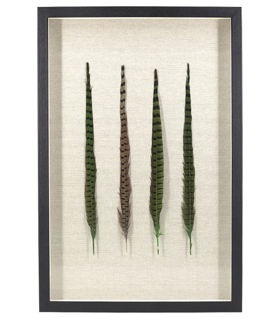 CUADRO PLUMAS FAISAN 