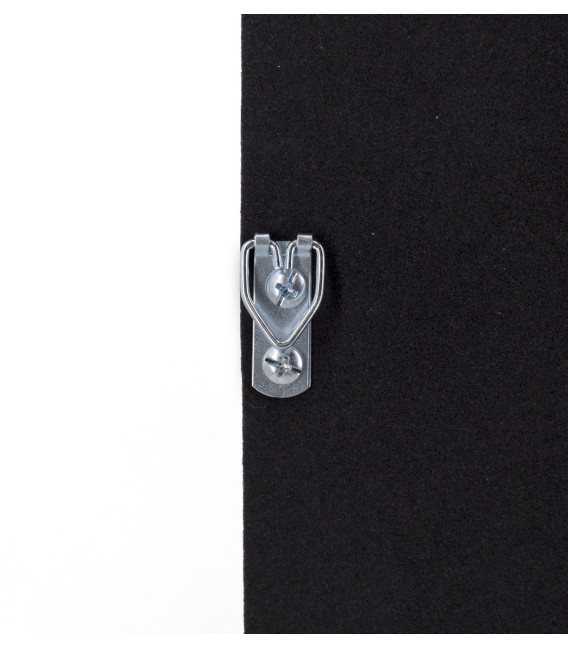 CUADRO PLUMAS FAISAN 