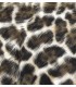 BANQUETA PLEGABLE LEOPARDO 