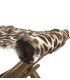 BANQUETA PLEGABLE LEOPARDO 