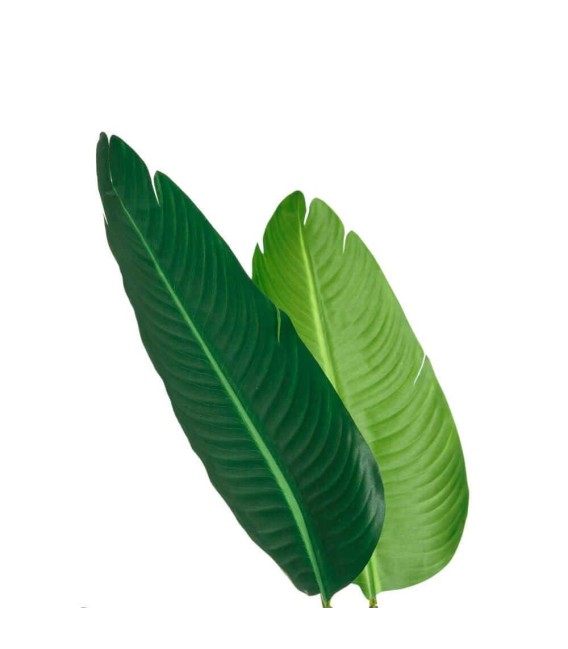 PLANTA AVE DEL PARAISO ARTIFICIAL MDMHOGAR