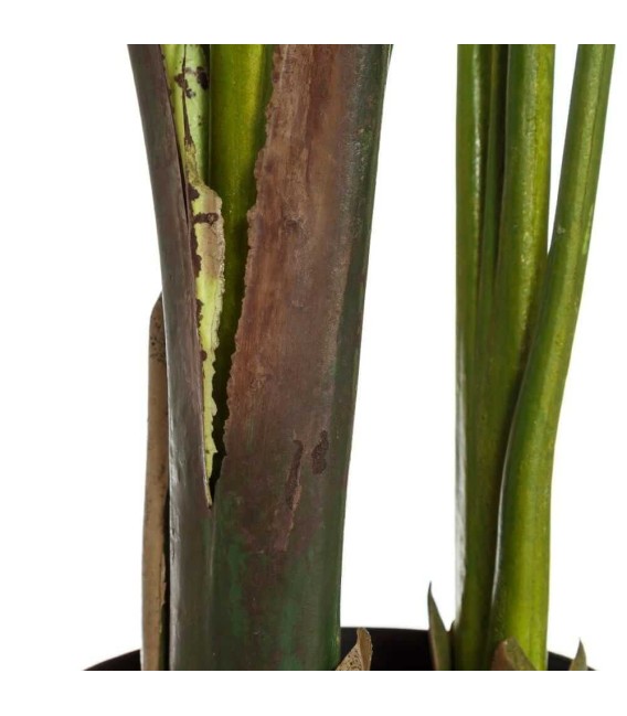 PLANTA AVE DEL PARAISO ARTIFICIAL MDMHOGAR