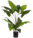 PLANTA COLOCASIA ARTIFICIAL 