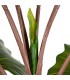 PLANTA COLOCASIA ARTIFICIAL 