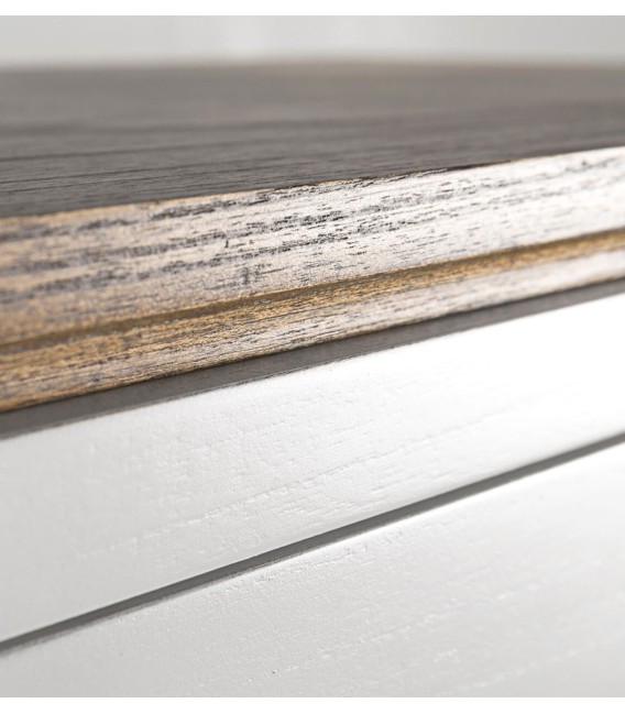 VITRINA COMBINADA EVEREST 