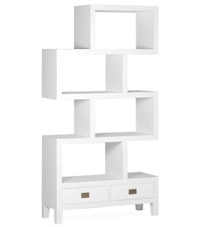 LIBRERÍA IRREGULAR EVEREST 