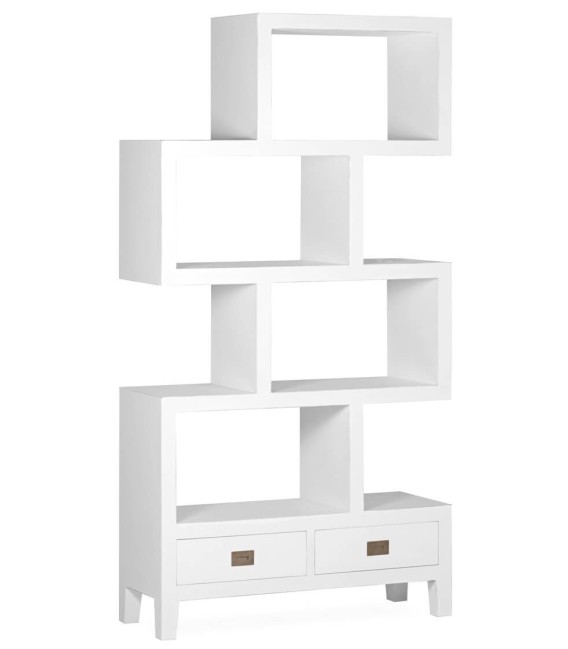 LIBRERÍA IRREGULAR EVEREST 