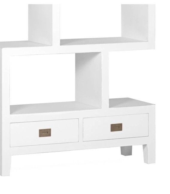 LIBRERÍA IRREGULAR EVEREST 