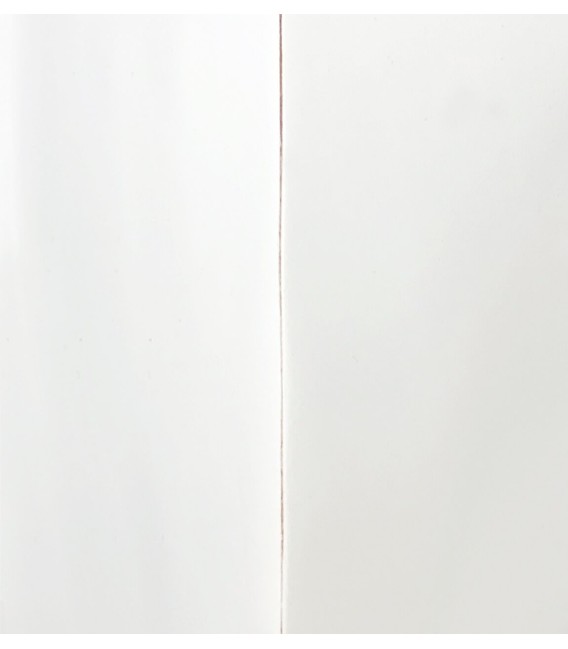 LIBRERÍA IRREGULAR EVEREST 