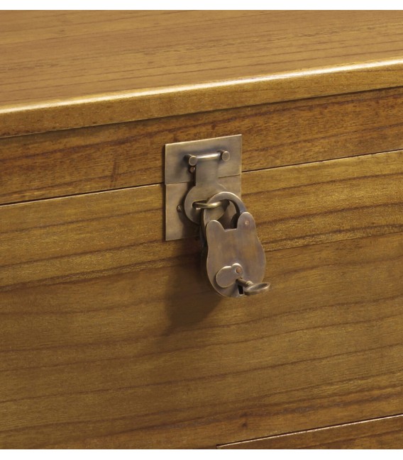 BAÚL STAR MOYCOR MDMHOGAR