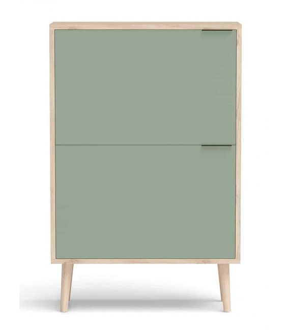 Mueble zapatero, 2 puertas batientes, 2 zapateros dobles, estilo moderno