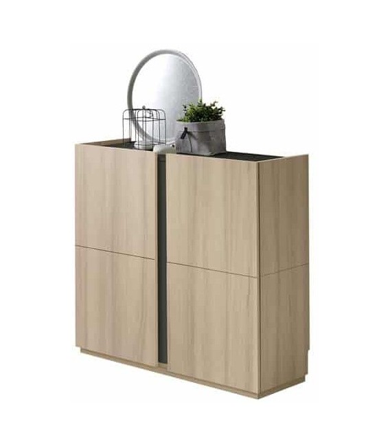 Mueble zapatero en melamina roble y grafito, capacidad 20 pares