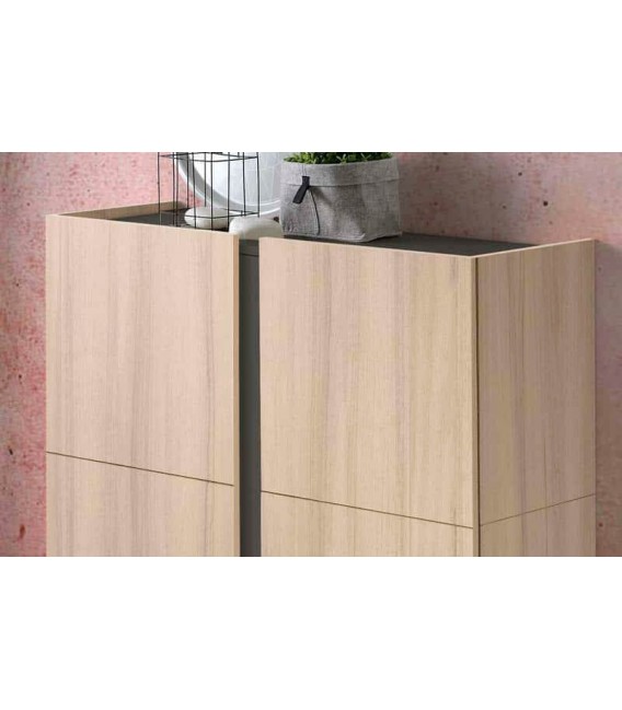 Mueble zapatero en melamina roble y grafito, capacidad 20 pares