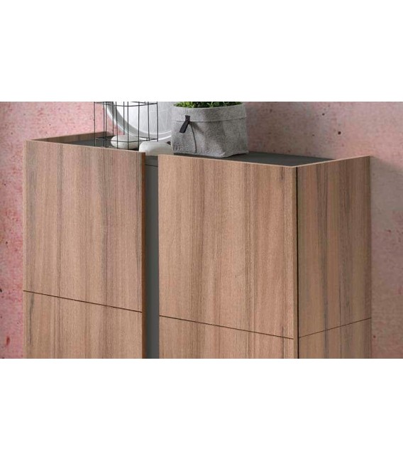 ZAPATERO BAJO NOGAL GRAFITO MDMHOGAR