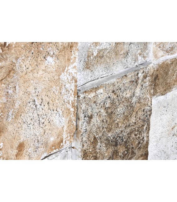 Cuadro grande abstracto lienzo con relieve en tonos ocres y crudos