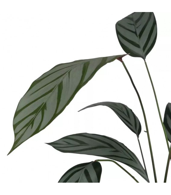 Planta artificial alta verde de buena calidad mdmhogar