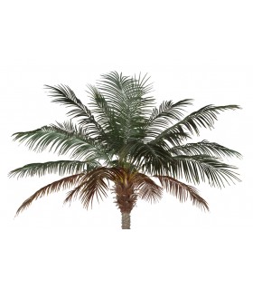 Árbol artificial alta para exterior palmera datilera  mdmhogar