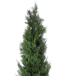 Árbol artificial con maceta ciprés verde para exteriores