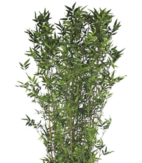 Planta artificial con maceta bambú verde de buena calidad mdmhogar