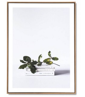 Cuadro lámina vertical estilo fotográfico libros mdmhogar