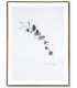Lámina vertical estilo fotográfico motivo rama eucalipto enmarcada mdmhogar