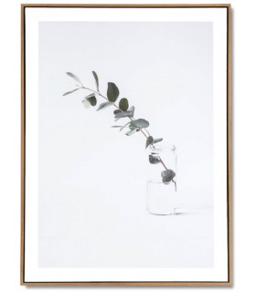 Lámina vertical estilo fotográfico motivo rama eucalipto enmarcada mdmhogar