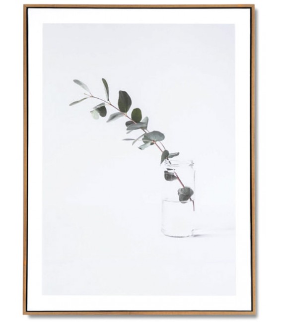 Lámina vertical estilo fotográfico motivo rama eucalipto enmarcada mdmhogar