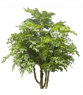 Árbol artificial muy alto para exterior amur mdmhogar