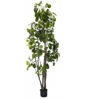 Árbol Artificial Aralia Fabian con Maceta Negra Mdmhogar1