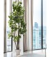 Árbol Artificial Aralia Fabian con Maceta Negra Mdmhogar