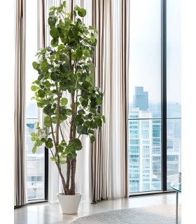 Árbol Artificial Aralia Fabian con Maceta Negra Mdmhogar