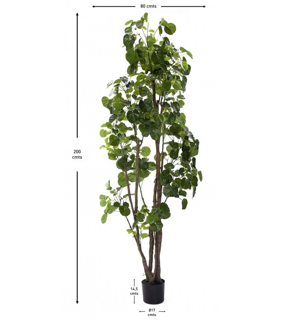 Árbol Artificial Aralia Fabian con Maceta Negra Mdmhogar4