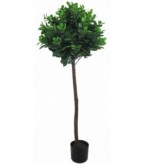 Árbol artificial laurel bajo con maceta negra elegante. Mdmhogar1
