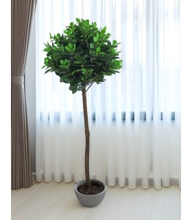 Árbol artificial laurel bajo con maceta negra elegante. Mdmhogar