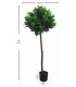Árbol artificial laurel bajo con maceta negra elegante. Mdmhogar4