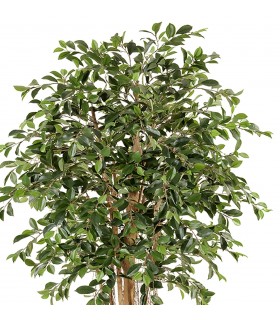 Planta artificial Ficus Benjamina – Realismo y estilo natural Mdmhogar1