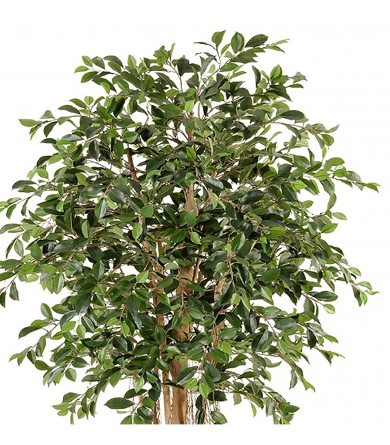 Planta artificial Ficus Benjamina – Realismo y estilo natural Mdmhogar1